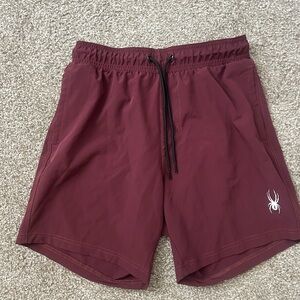 Spyder Men's Maroon swim Shorts